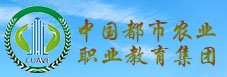继2024年开展相关技术服务后